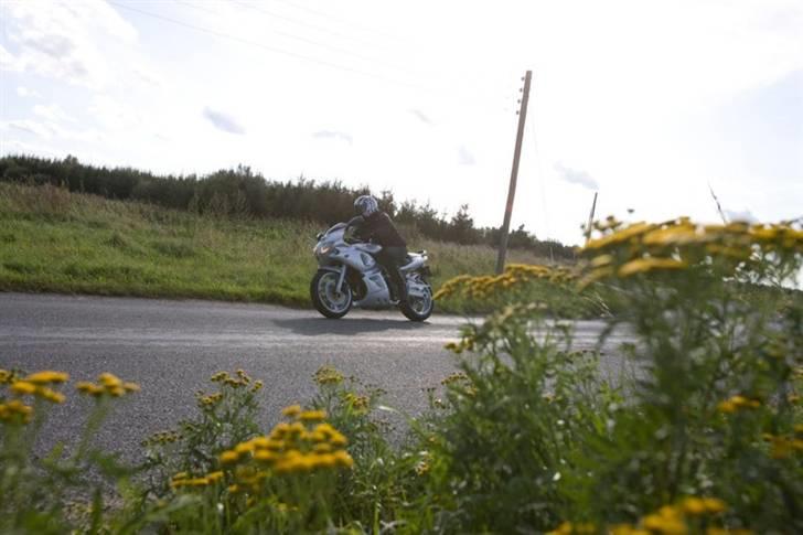 Suzuki SV650S billede 13