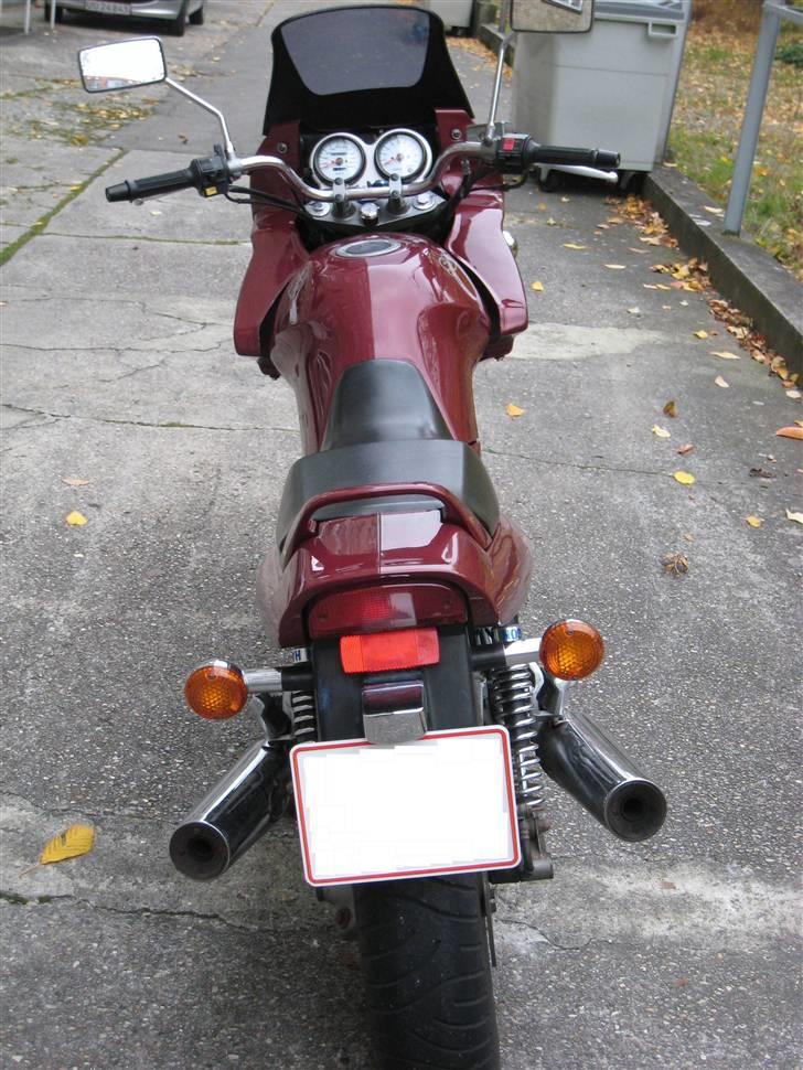 Suzuki VX 800 billede 5