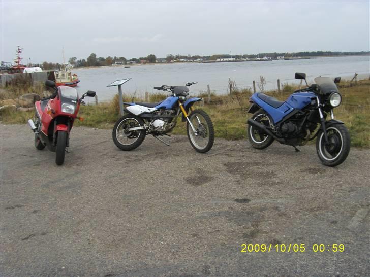 Honda VTR250 billede 6