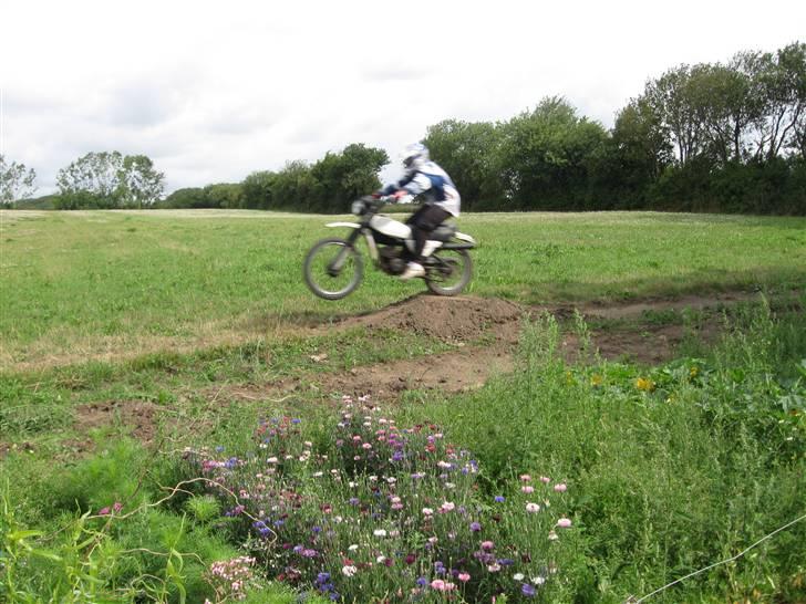 Yamaha DT 125 billede 7