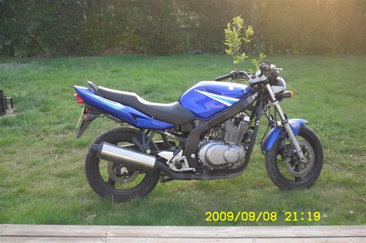 Suzuki Gs 500 billede 1