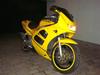Suzuki RF 600R [Tidl. motorcykel]