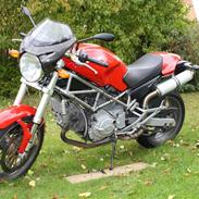 Ducati monster 1000