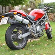 Ducati monster 1000