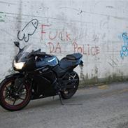 Kawasaki Ninja 250R
