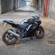 Kawasaki Ninja 250R