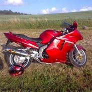 Honda CBR 1100xx blackbird