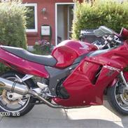 Honda CBR 1100xx blackbird