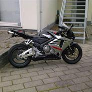 Honda CBR 600 RR (DØD)
