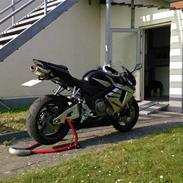 Honda CBR 600 RR (DØD)