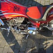 Harley Davidson Softtail Custom