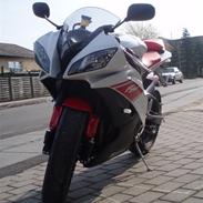 Yamaha YZF-R6