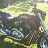 Harley Davidson VRSCD Night Rod