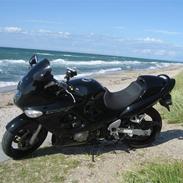 Suzuki GSX750F