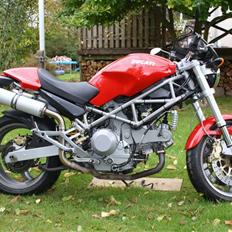 Ducati monster 1000