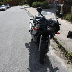 Yamaha FZR 600