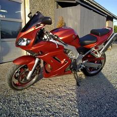 Suzuki sv 650 *solgt*