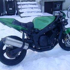 Yamaha fzr 1000 fighter