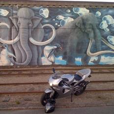 Aprilia RS 125 Extrema