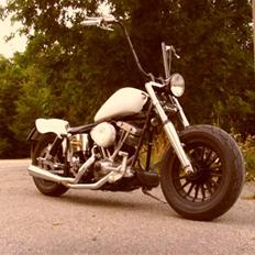 Harley Davidson Flh