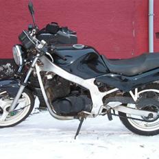 Suzuki GS 500E