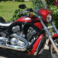 Harley Davidson VRSCD Night Rod