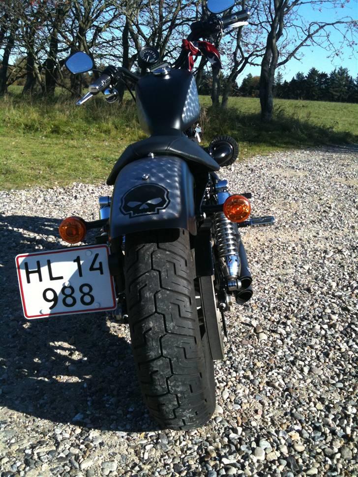 Harley Davidson Sportster XL 883 Roadster billede 14