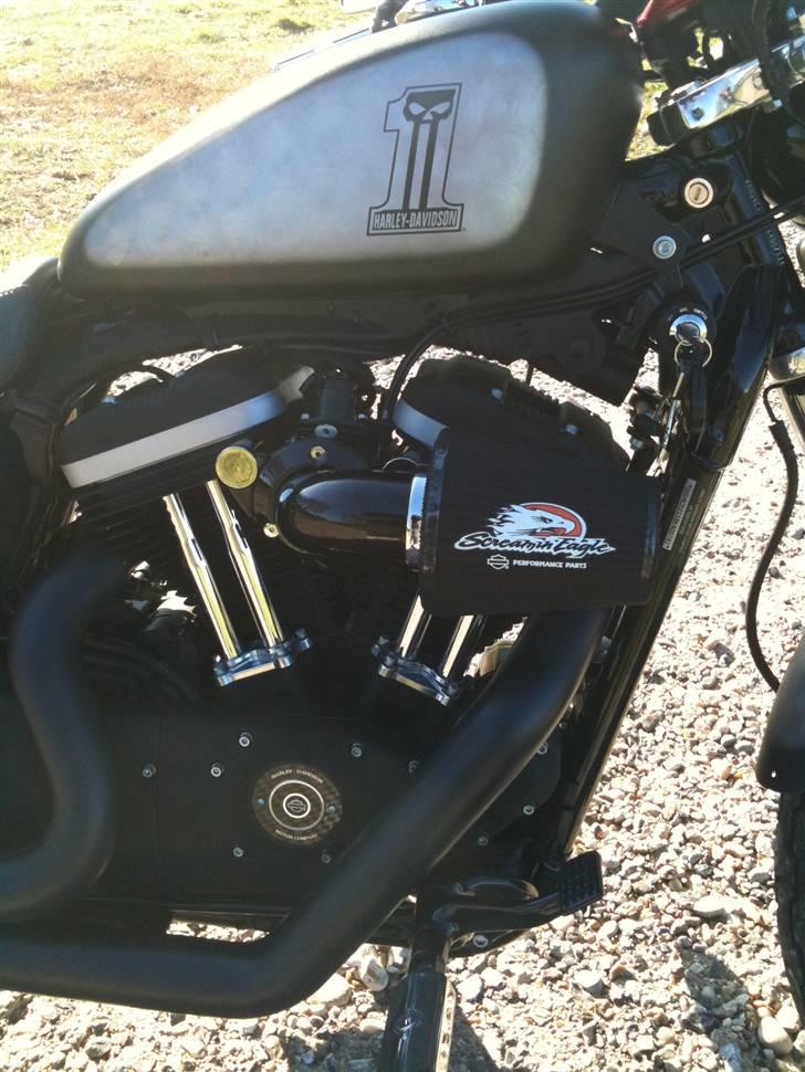 Harley Davidson Sportster XL 883 Roadster billede 15