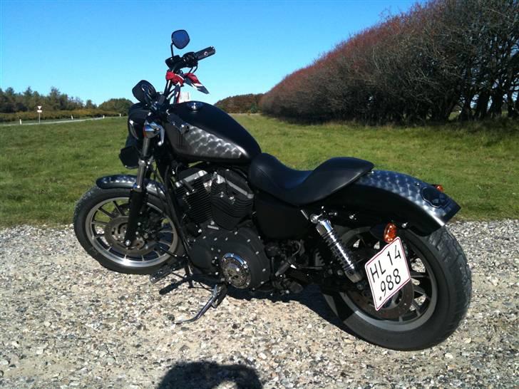 Harley Davidson Sportster XL 883 Roadster billede 16