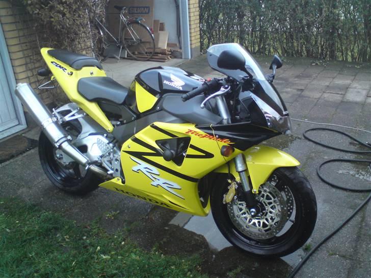 Honda Fireblade 954 billede 4