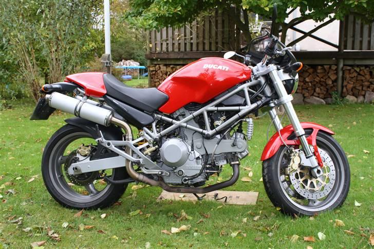 Ducati monster 1000 billede 2