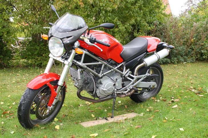 Ducati monster 1000 billede 3