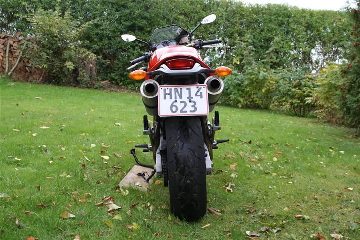 Ducati monster 1000 billede 4