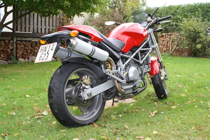 Ducati monster 1000 billede 5