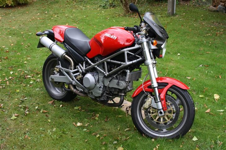 Ducati monster 1000 billede 6