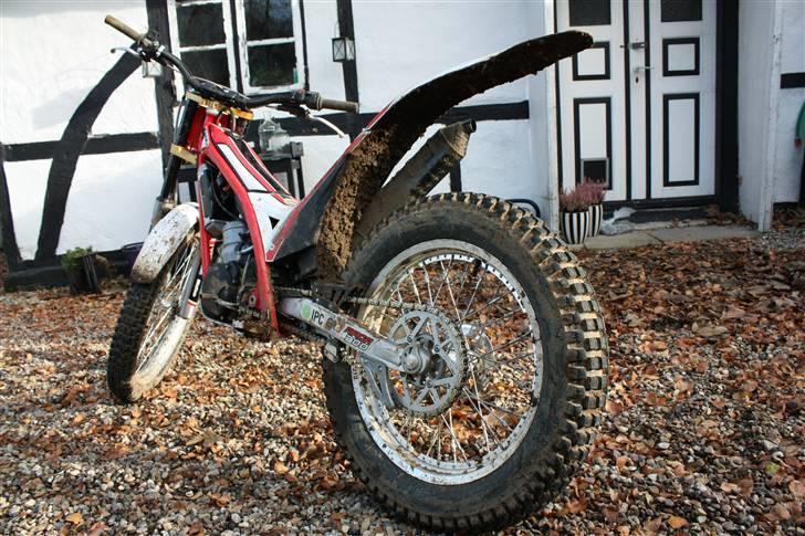 Gas Gas TXT 300 Raga (SOLGT) billede 11