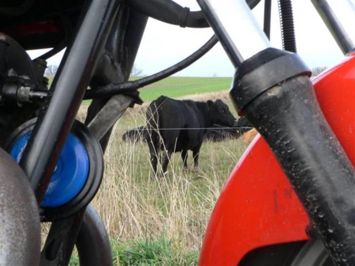 Suzuki GS 450 E *solgt* billede 3