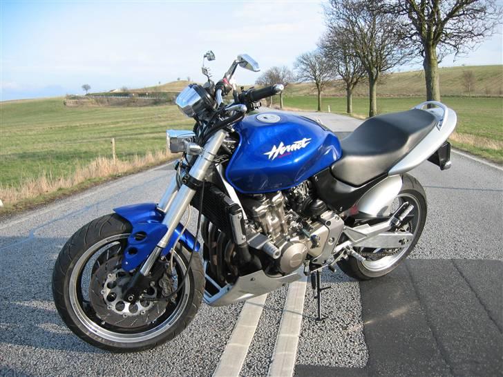 Honda hornet 600     SOLGT - sådan så den ud før  billede 18