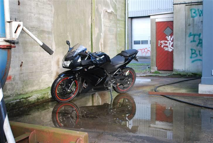 Kawasaki Ninja 250R - Mit personlige favorit billede af den (:  billede 1