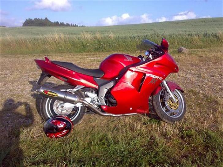 Honda CBR 1100xx blackbird billede 1