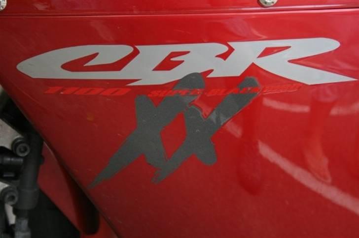 Honda CBR 1100xx blackbird billede 2