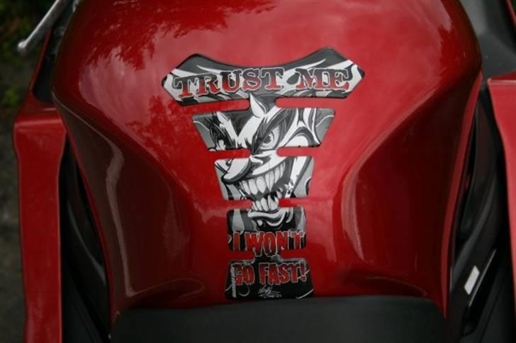 Honda CBR 1100xx blackbird billede 8