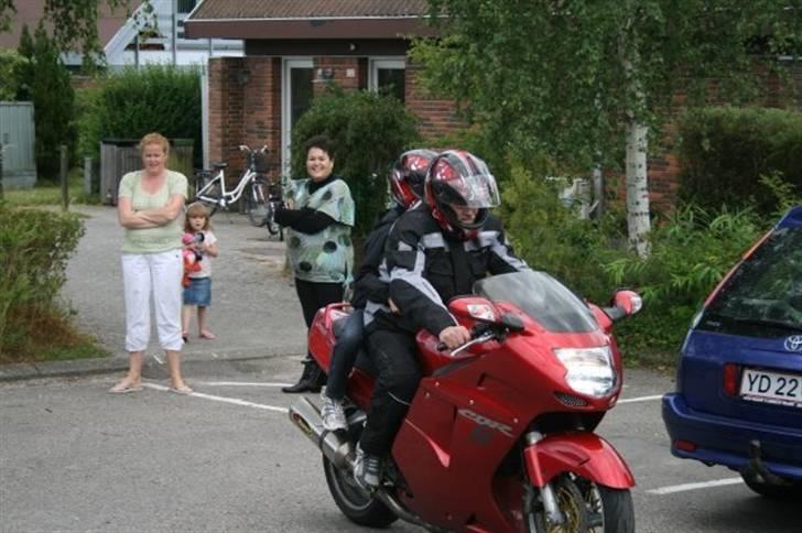 Honda CBR 1100xx blackbird billede 10