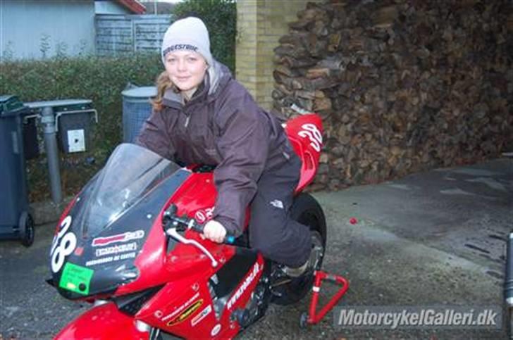Honda CBR600RR - Her sidder man ret godt! billede 1