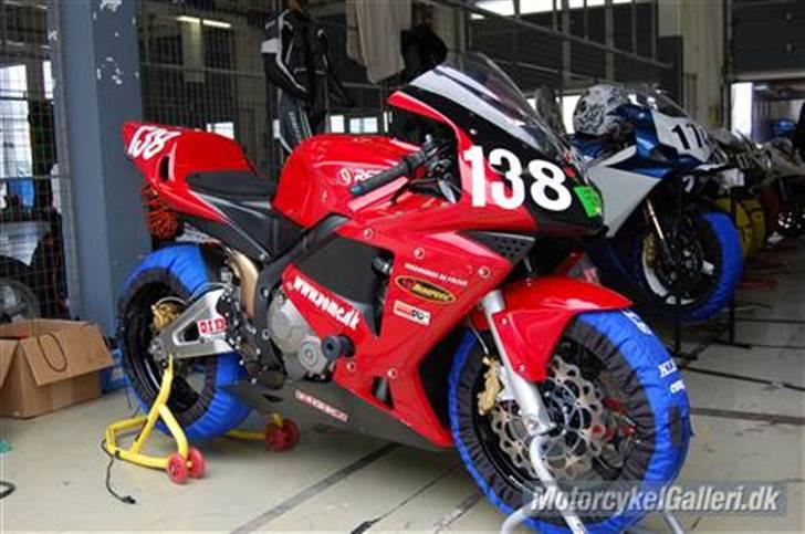 Honda CBR600RR - Glæder mig til at få mine egne billeder på, også af pitbaben... første gang bliver 30 april på Brno :P billede 3