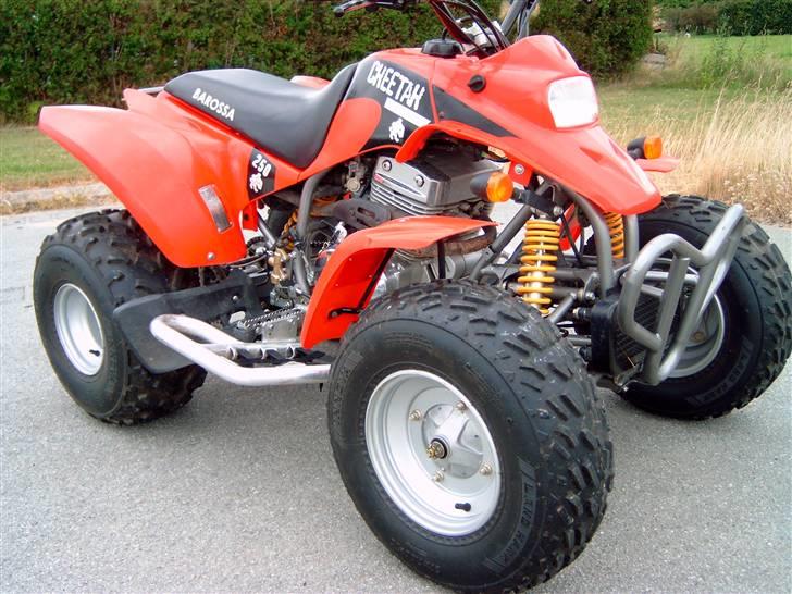 Barossa Cheetah billede 2