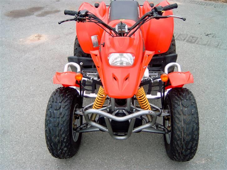 Barossa Cheetah billede 4