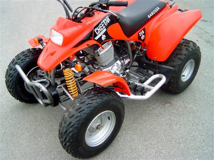 Barossa Cheetah billede 5