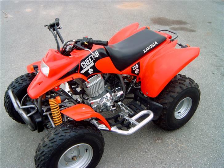 Barossa Cheetah billede 6