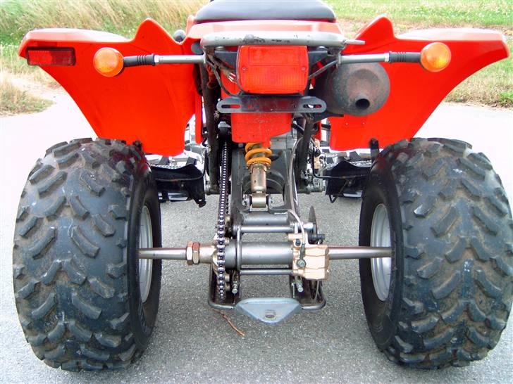 Barossa Cheetah billede 9